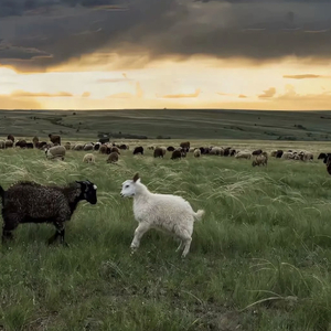 亚洲欧美色图片
