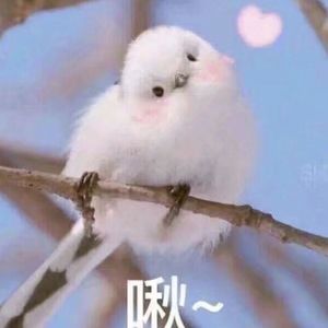 双飞儿媳妇和她闺蜜免费阅读
