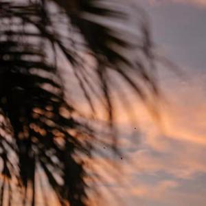 国产成人午夜性a一级毛片
