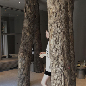 洪荒之力导航官网成人色情福利
