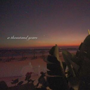 国产亚洲精品bt天堂精选
