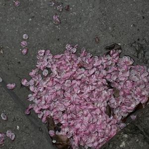 九幽泡妞视频。
