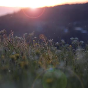 好大好硬睡好多视频
