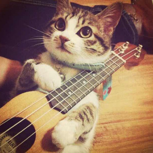 欧美穿环穿孔HD
