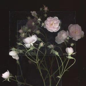 韩国美女奶头㊙️麻豆AV
