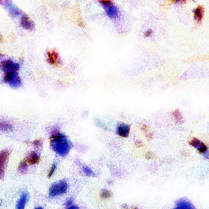 XXXX18🍆🍑国产AV
