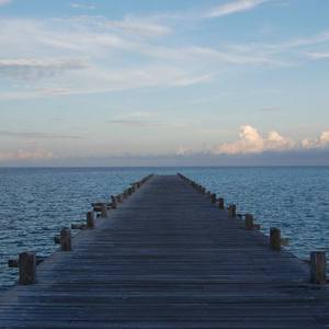 国产亚洲精品bt天堂精选
