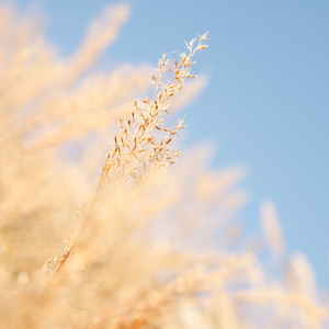 少妇口述玌伦经过视频
